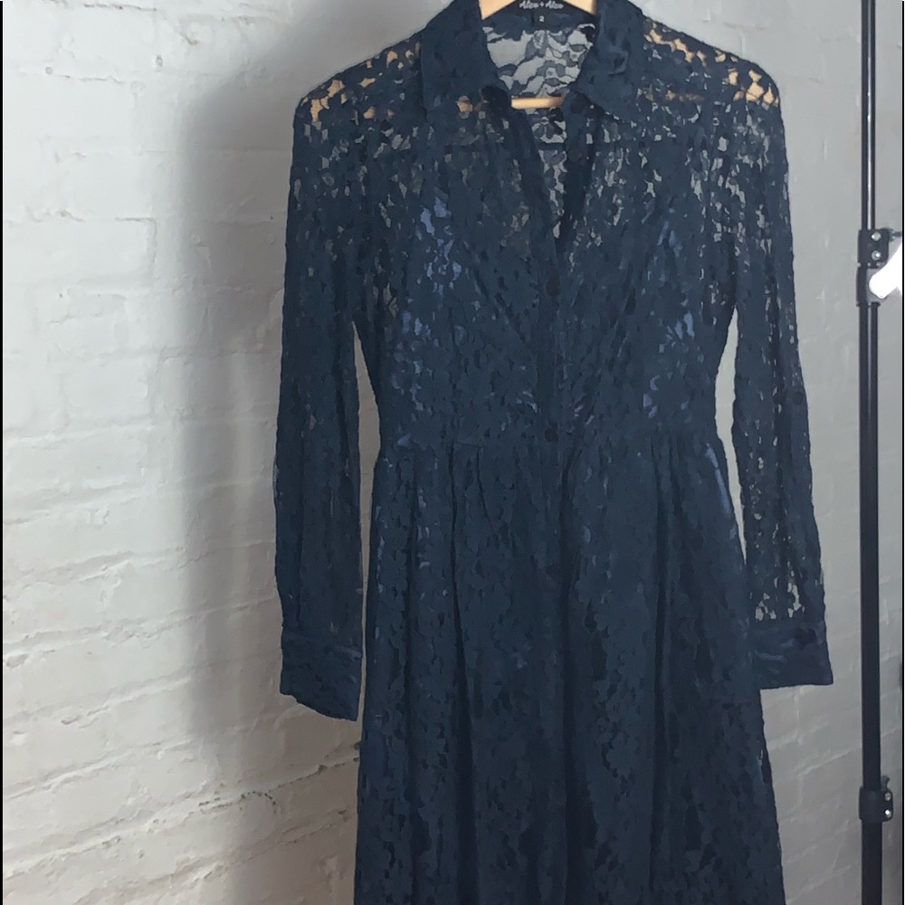 BNWOT Elegant Lace Fit N Flare Lace Dress w/ Slip - Picture 2 of 2